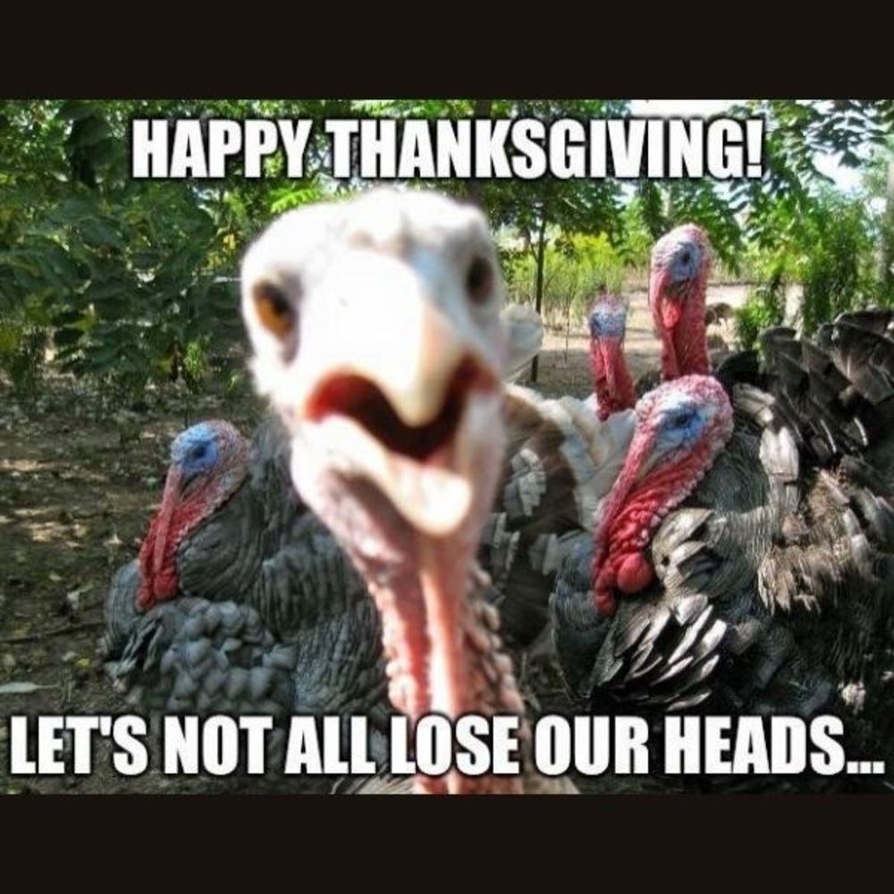 TY ALL 4 ANOTHER GREAT EVENT! SEE U NXT TIME! Happy 🦃 day! 💕 - Picture 10 of 10